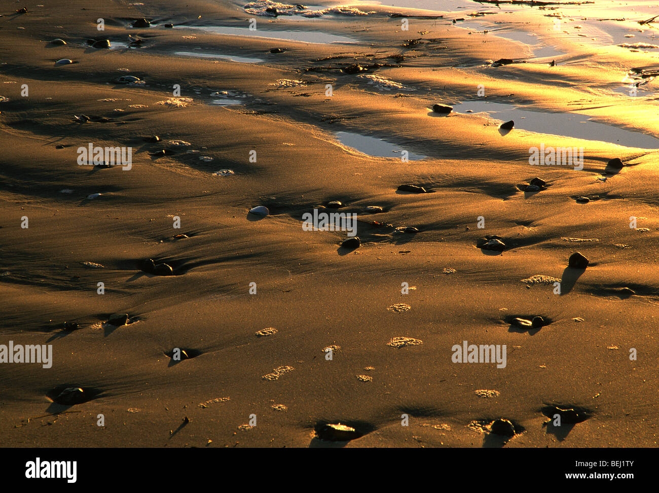 Sand ripples hi-res stock photography and images - Alamy