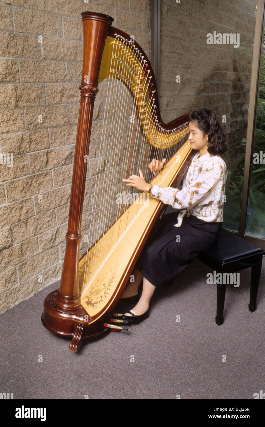 music instrument pluck strum tune melody harmony chord beautiful