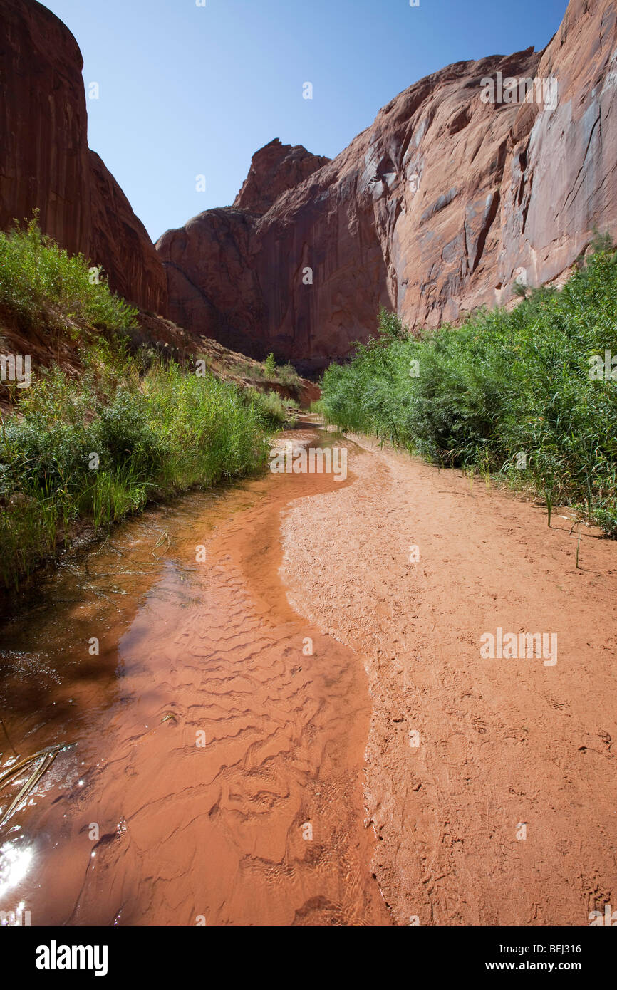 Water moving through a side canyon of Lake Powell, Utah Stock Photo