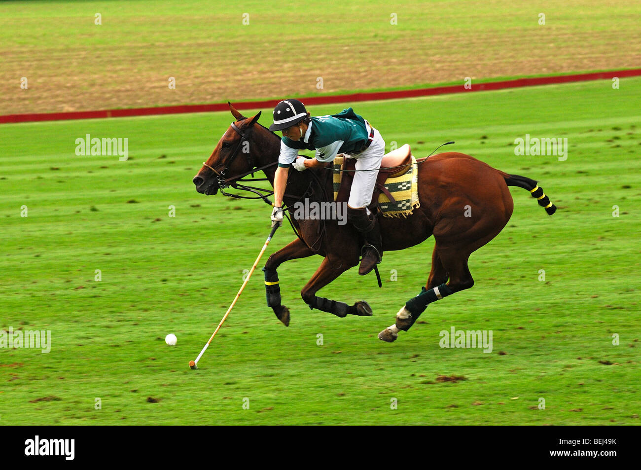 Polo player driving the ball with the mallet in full gallop Stock Photo