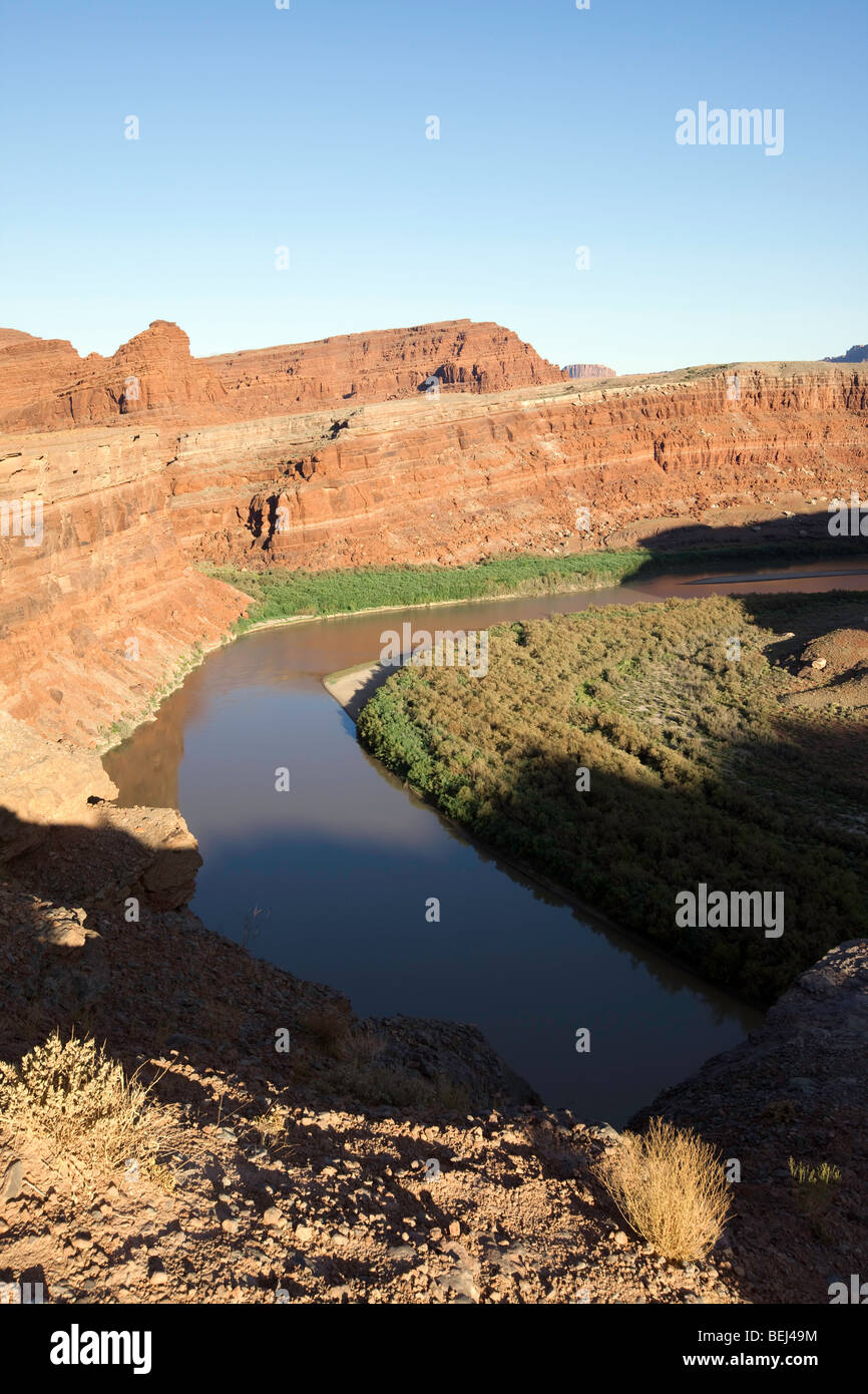The Colorado River, Canyonlands National Park, Utah Stock Photo