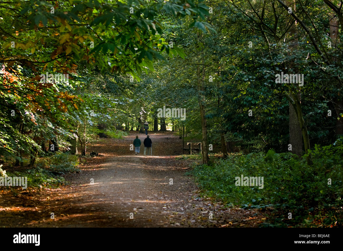 People walking along a path in Thorndon Park in Essex. Photo by Gordon ...