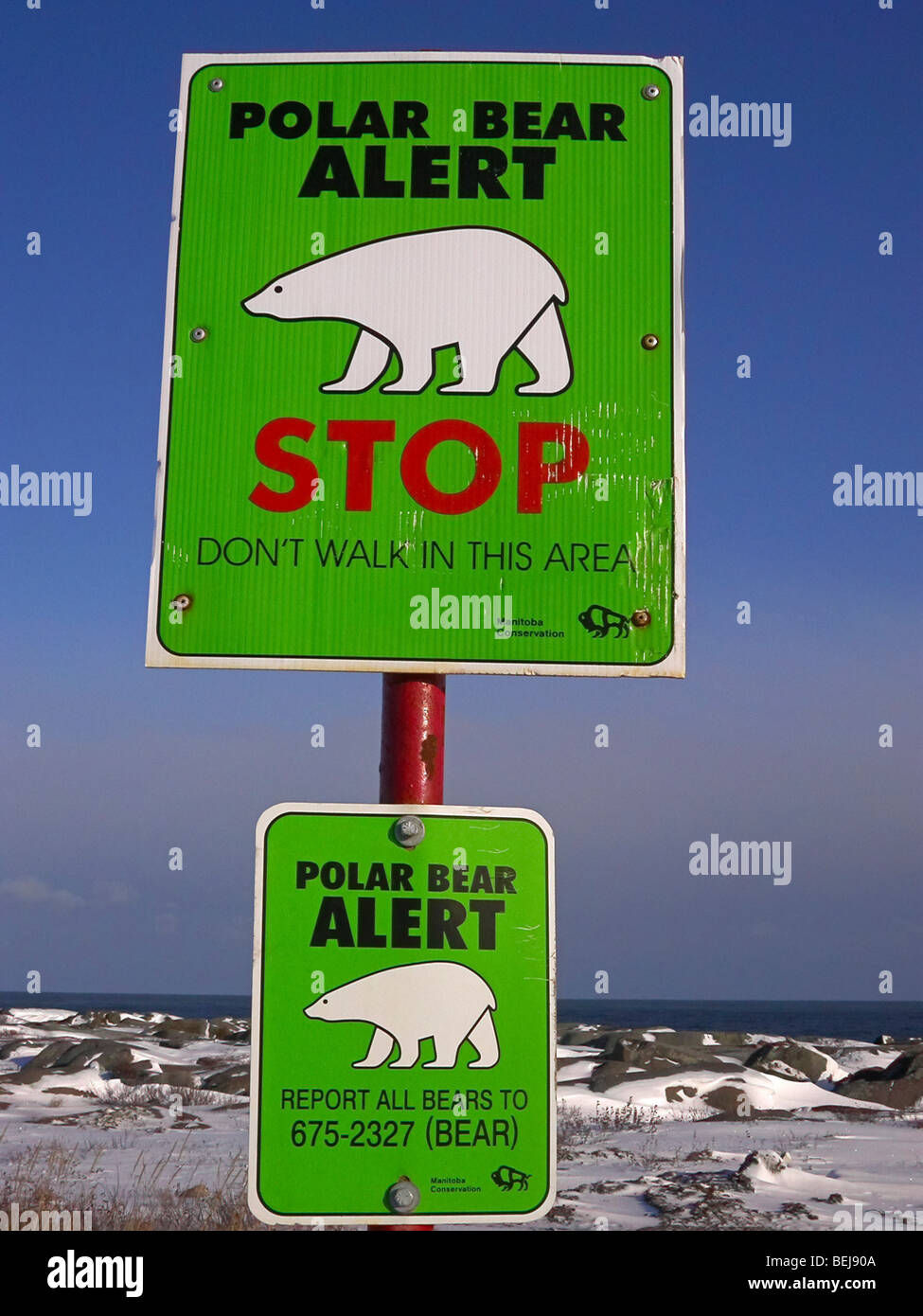 Polar bear warning sign on hires stock photography and images Alamy