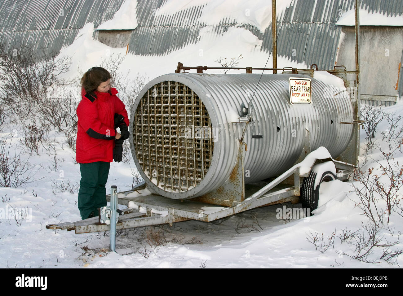 Woman inspects polar bear 'jail' used to detain bears that come too close to town in Churchill, Manitoba Stock Photo