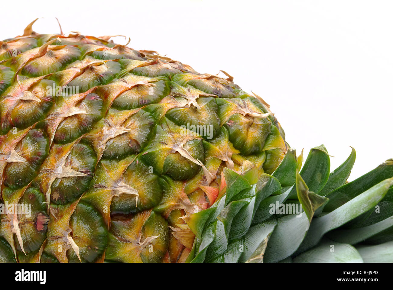 Ananas - pineapple 12 Stock Photo