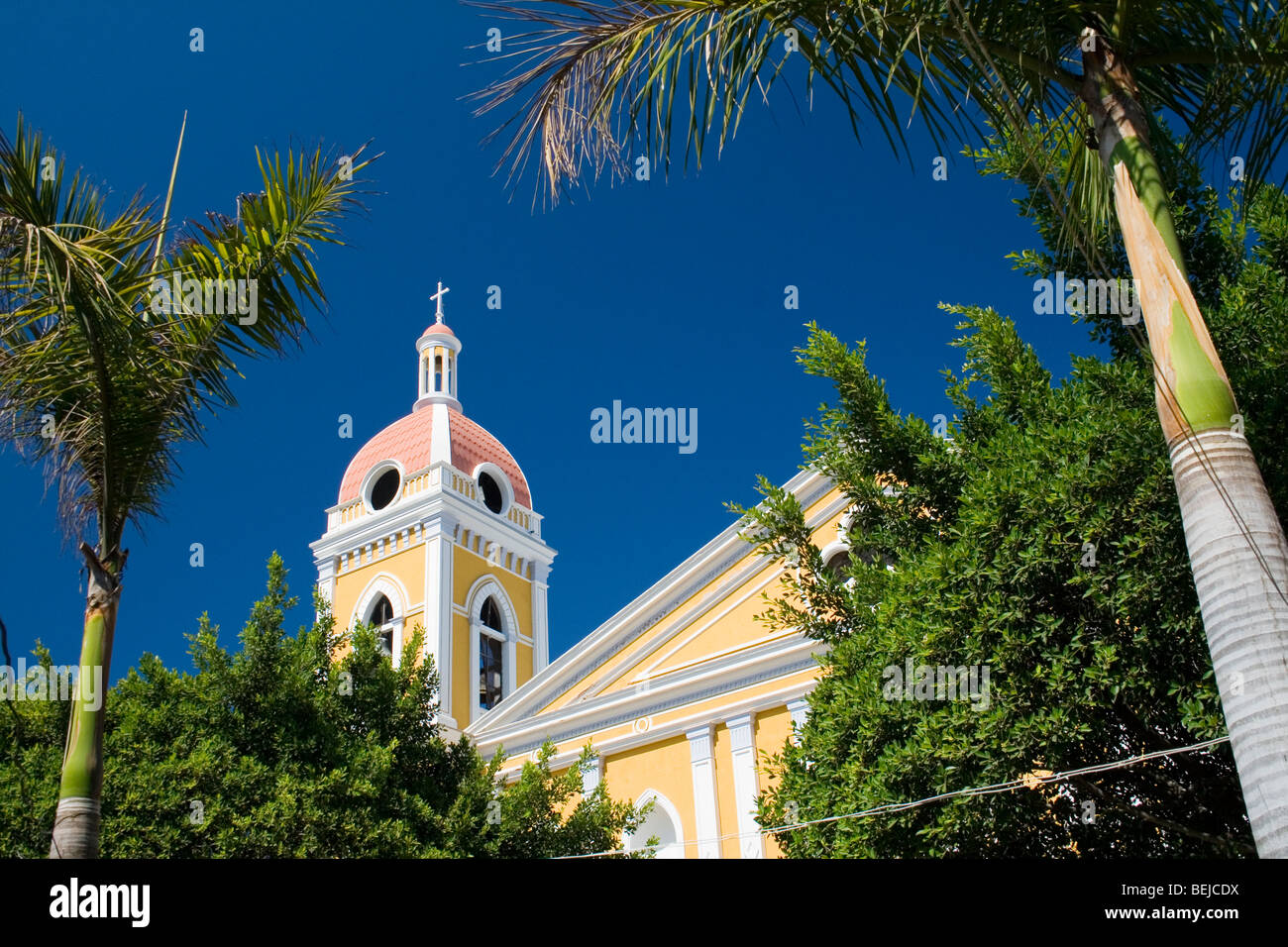 Granada Cathedral through palms, Nicaragua Stock Photo