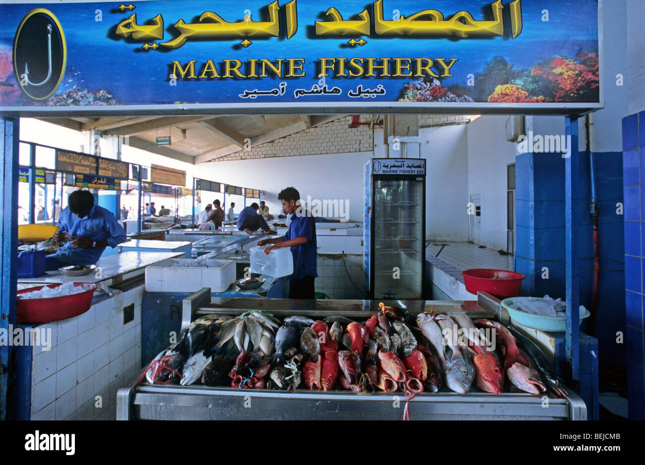 Fish market, Jeddah, Saudi Arabia, Middle East Stock Photo Alamy