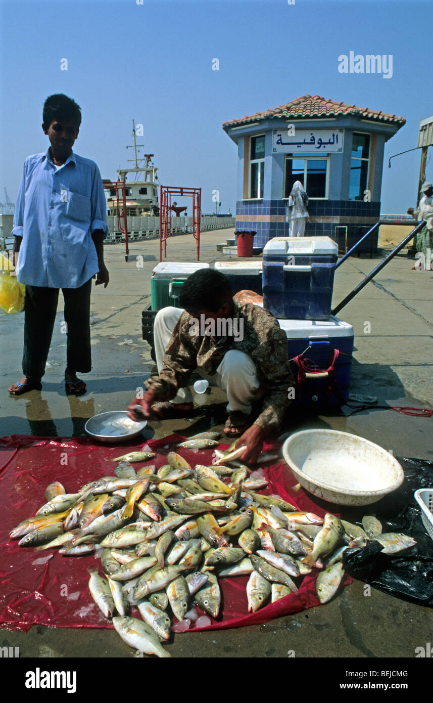 Fish market, Jeddah, Saudi Arabia, Middle East Stock Photo Alamy