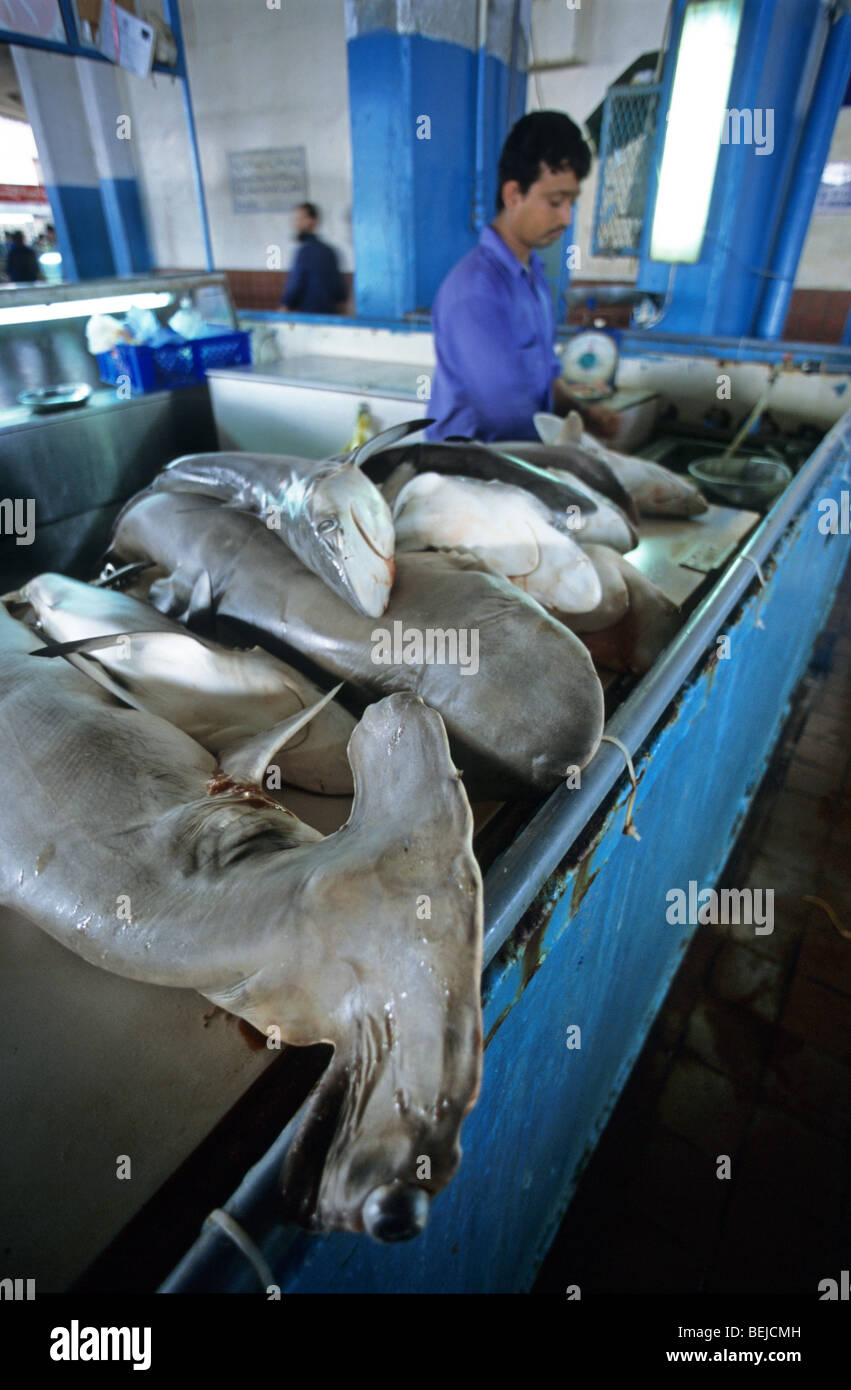 Fish market, Jeddah, Saudi Arabia, Middle East Stock Photo Alamy
