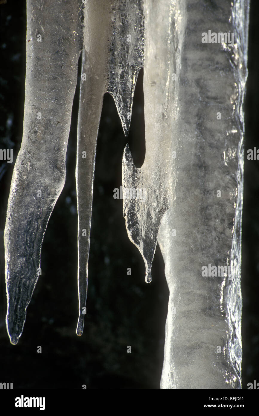 Icicles in the winter. Stock Photo