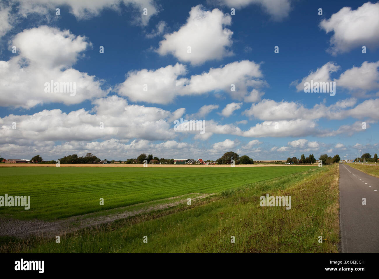 Dutch countryside landscape. North Holland, Alkmaar province, the Netherlands Stock Photo