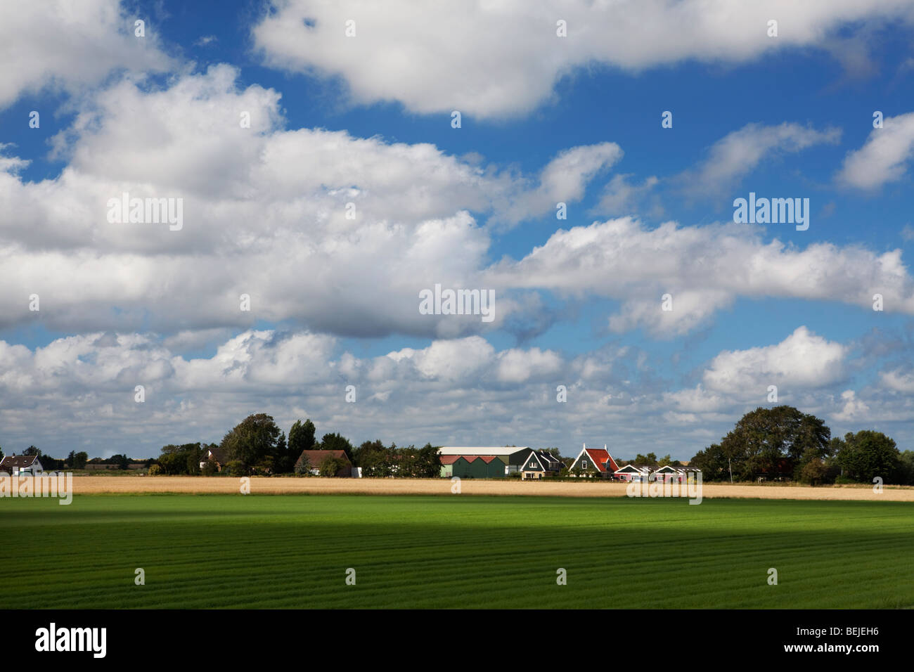 Farmland under blue sky with fluffy clouds. The Netherlands Stock Photo