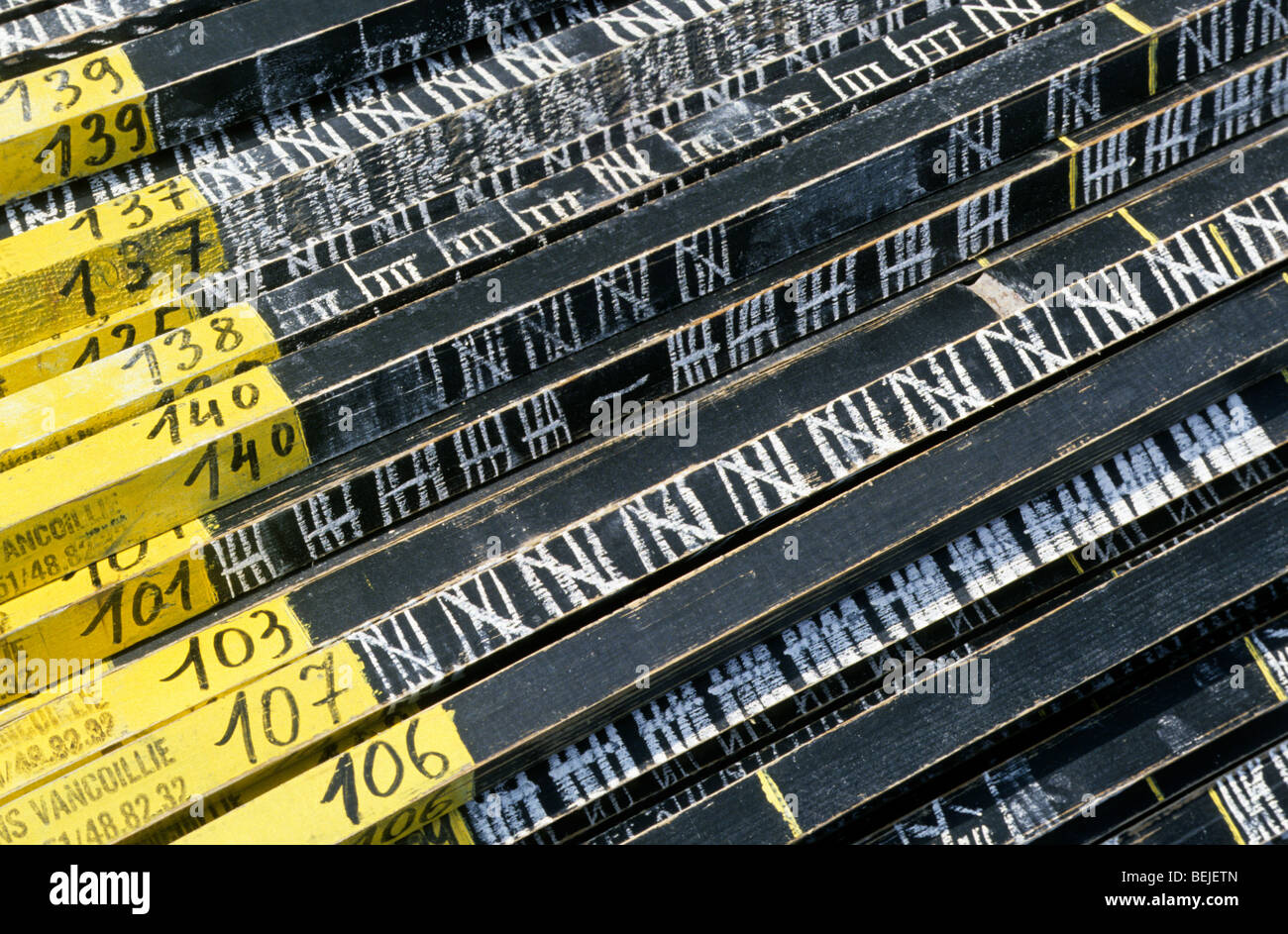 Fincher counts the number of bird calls by finch on a long wooden stick