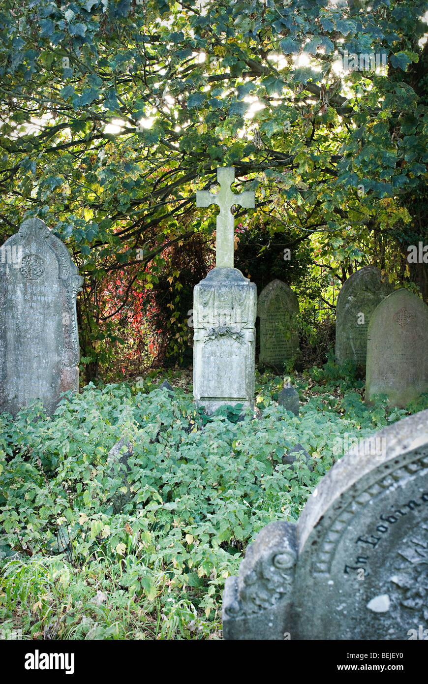 Cross on a Gravestone. Back lit in overgrown churchyard. Stock Photo