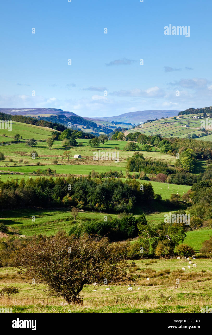 Looking into the Yorkshire Dales from Walburn Head, North Yorkshire England UK Stock Photo