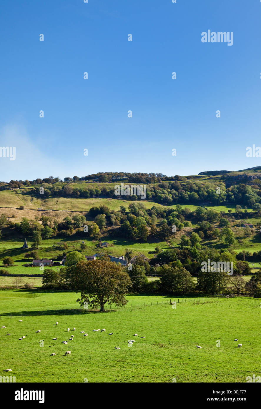 Rolling countryside in the Yorkshire Dales, England, UK in autumn Stock Photo