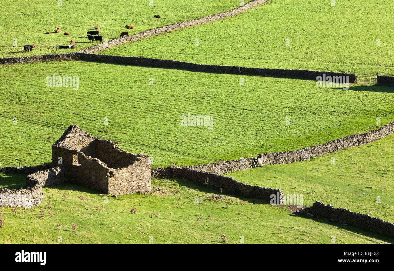 Gunnerside bottom, Swaledale, Yorkshire Dales, North Yorkshire, England UK Stock Photo