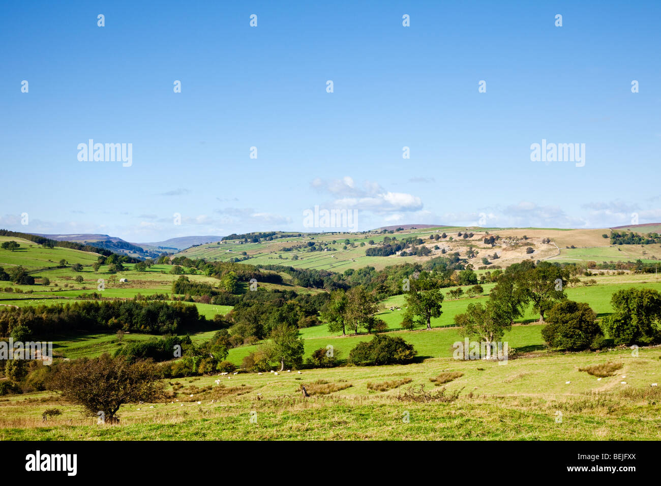 Yorkshire Dales landscape from Walburn Head, Richmondshire, North Yorkshire, England, UK Stock Photo