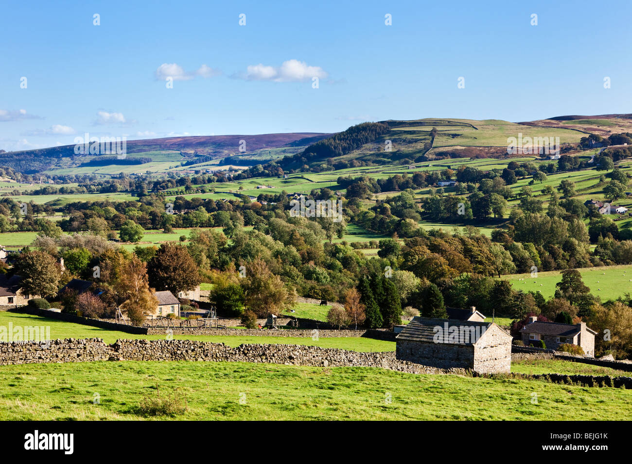 Yorkshire Dales landscape - Swaledale - near Reeth - Yorkshire Dales, North Yorkshire, England, UK Stock Photo