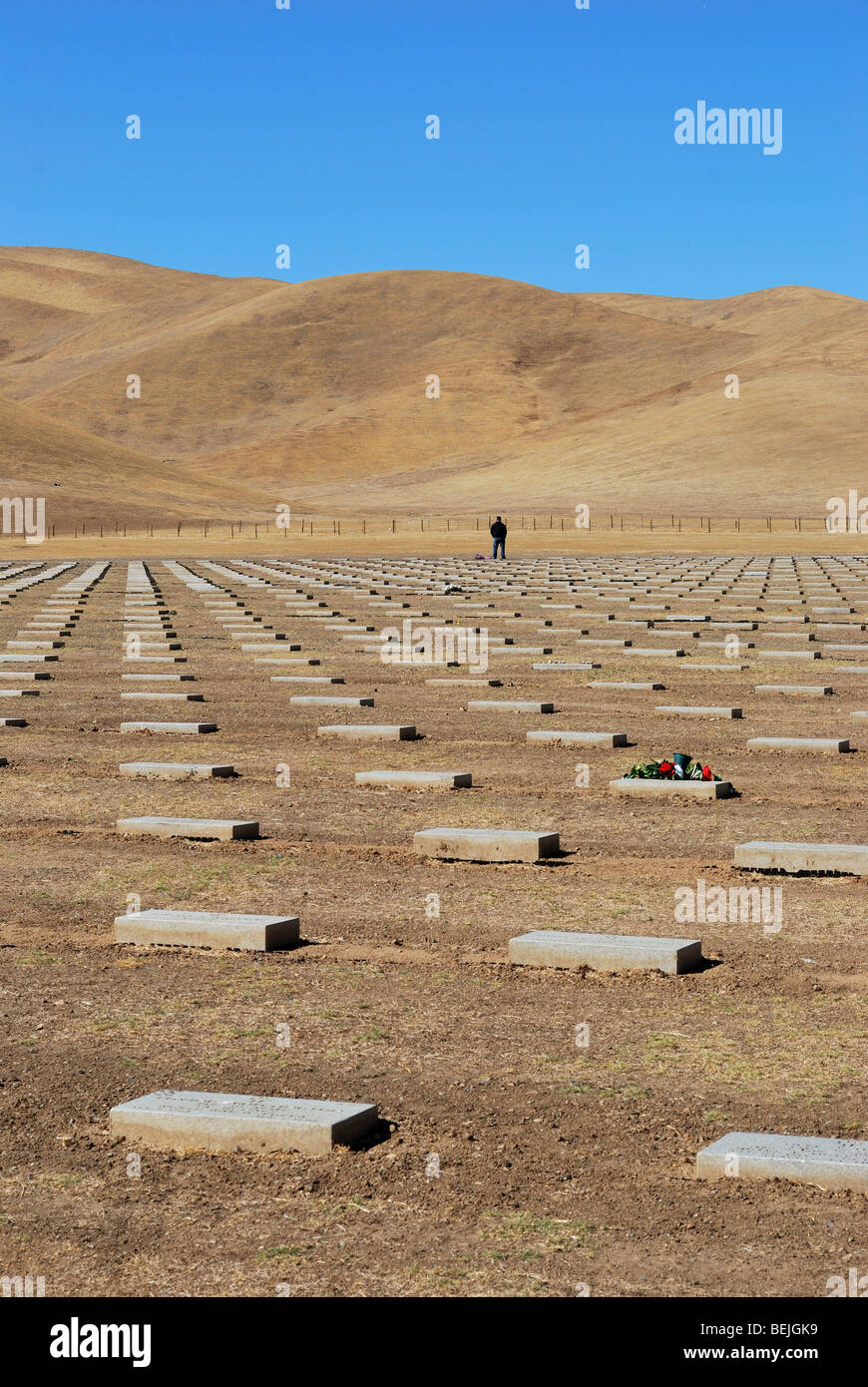 Visitor to the San Joaquin Valley National Cemetery, Santa Nella