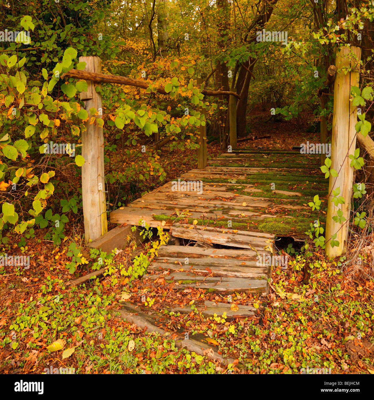 Autumnal scene with old wooden bridge. Stock Photo