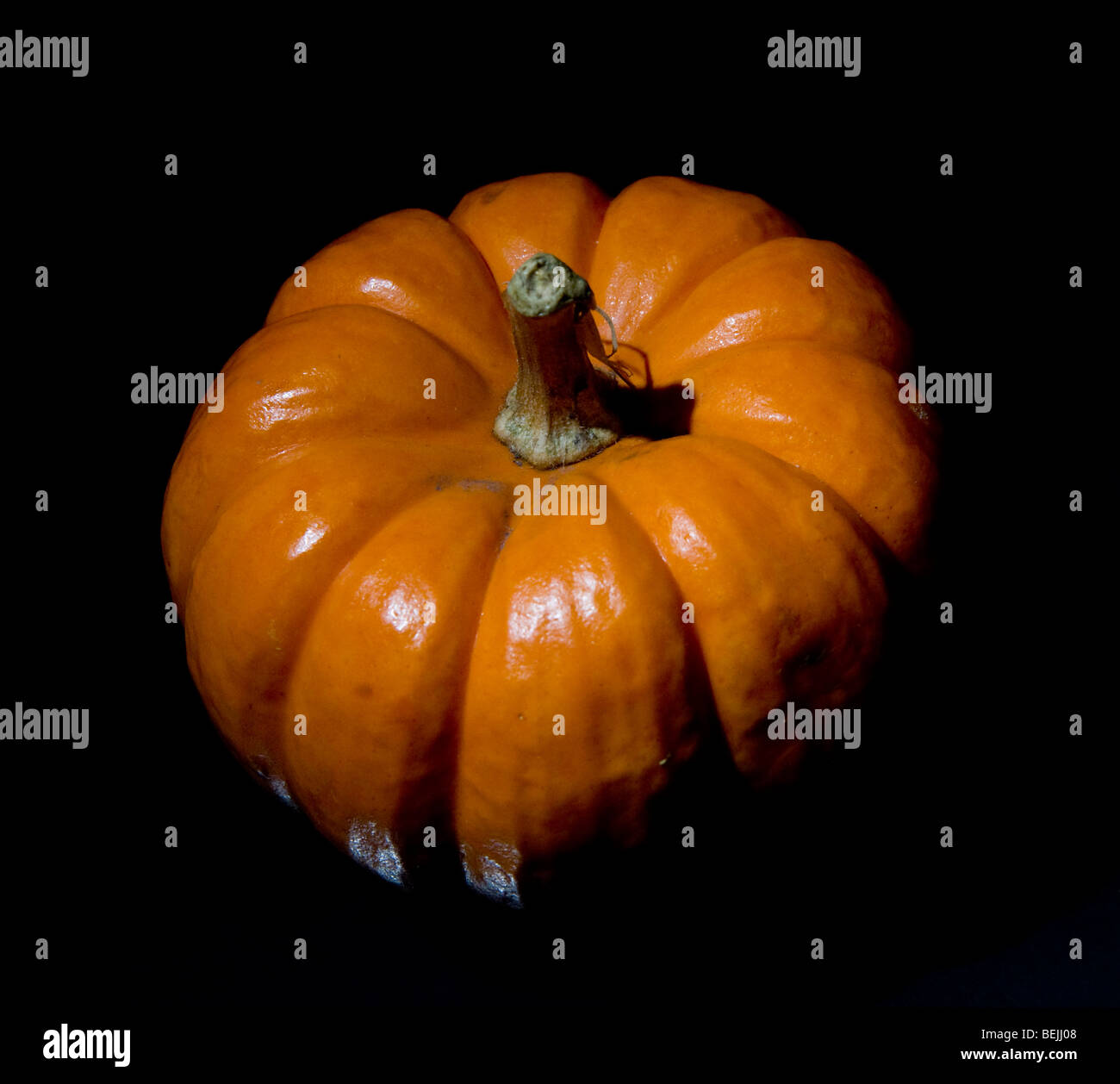 Orange Pumpkin, Great for Use During Halloween. Stock Photo