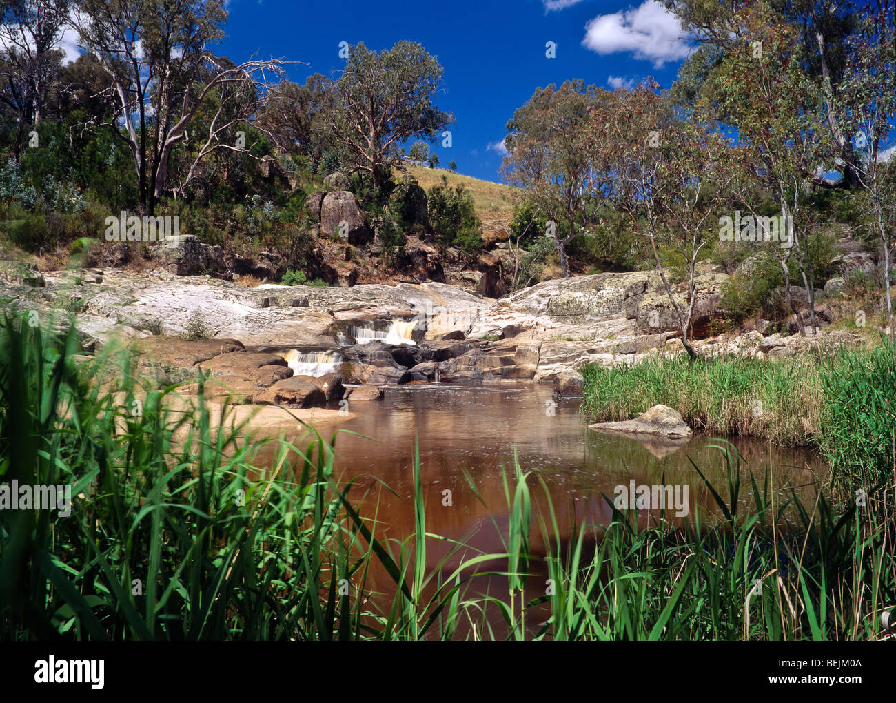 Creek and pool, Australia Stock Photo Alamy