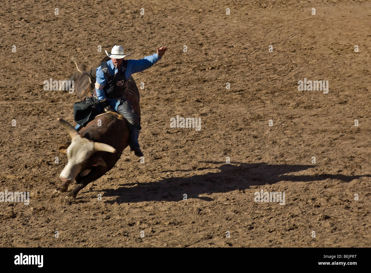 Rodeo, Buckeye, Maricopa County, Arizona, United States of America