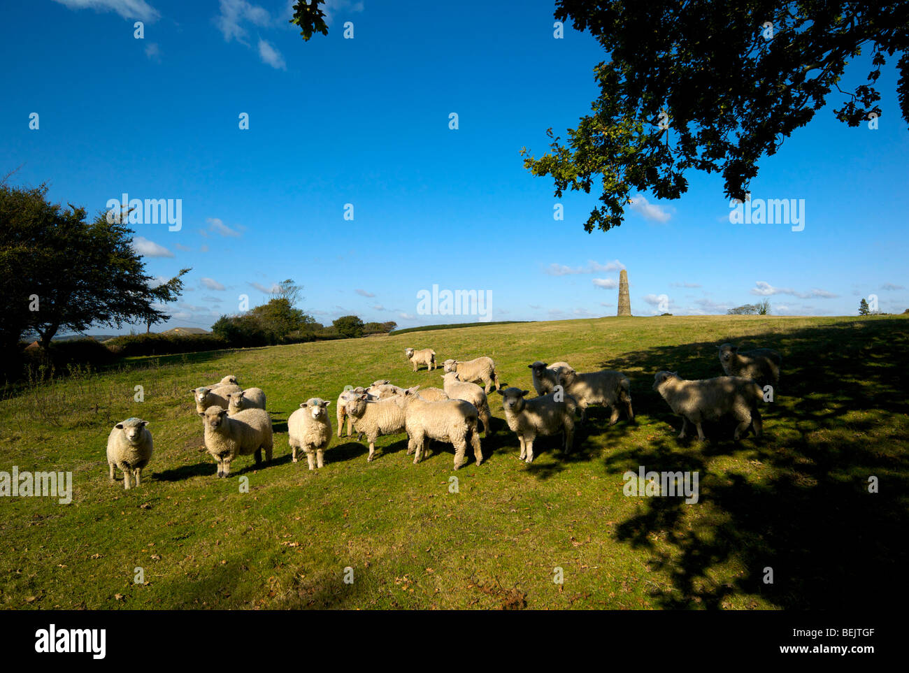 The Obelisk or Brightling Needle built by Mad Jack Fuller to maybe mark victory at the battle of Waterloo, 646ft above sea level Stock Photo