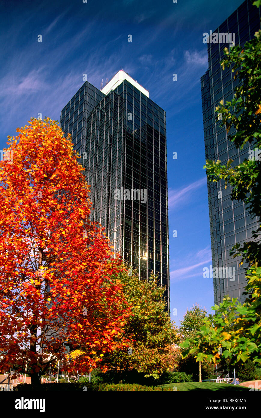 Highrise buildings fall season hi-res stock photography and images - Alamy