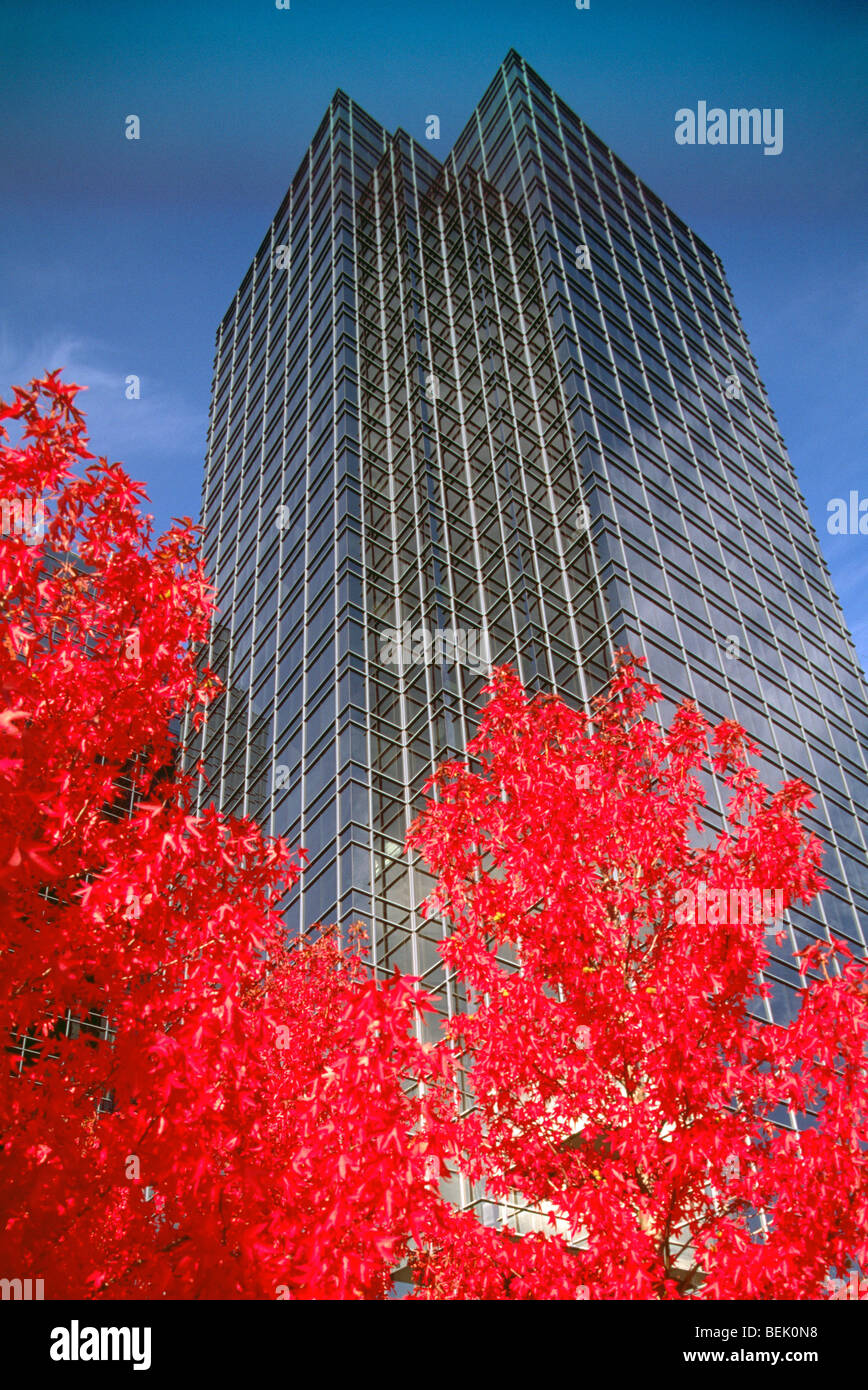 Burnaby, BC, British Columbia, Canada Exterior of High Rise Office