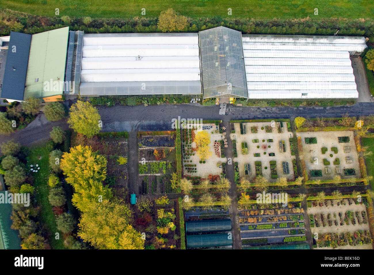 Florist's business with greenhouses for ornamental plants and shrubbery, Belgium Stock Photo