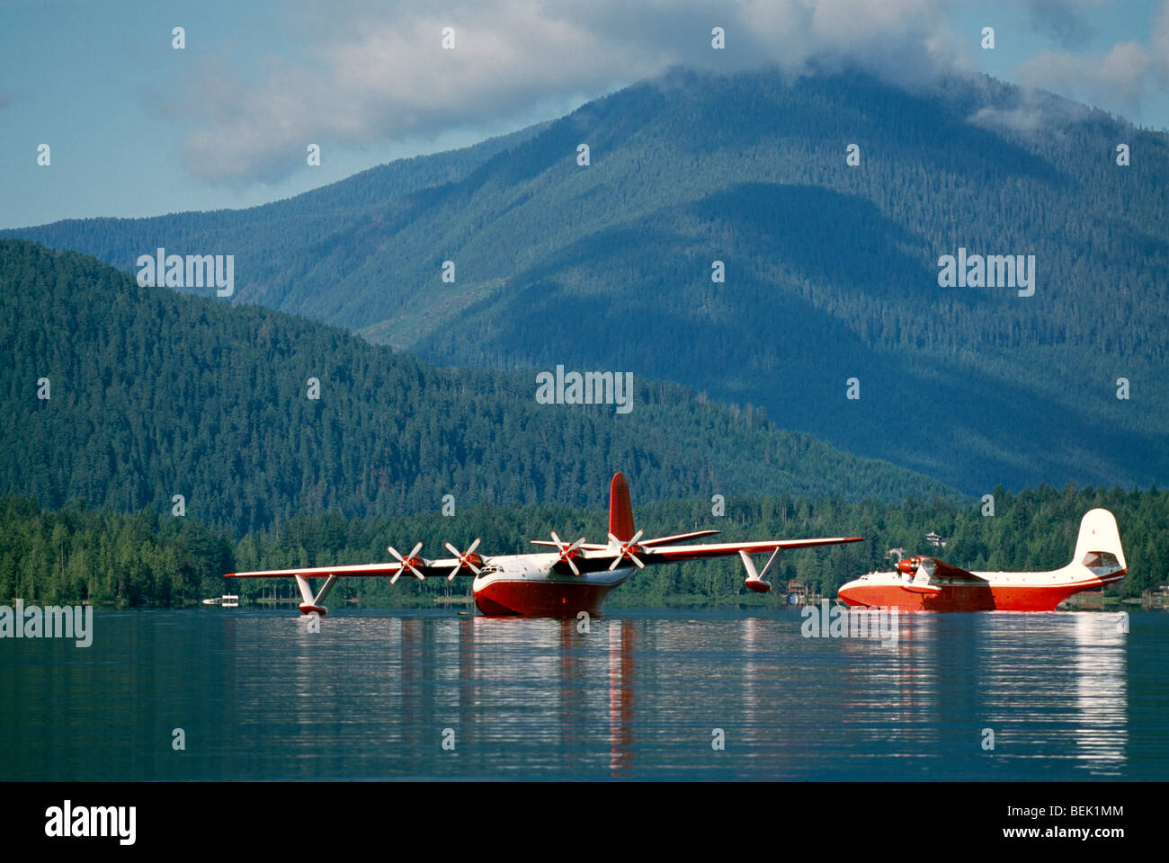 Vancouver Island, BC, British Columbia, Canada, Martin Mars Water Bombers float on Sproat Lake Provincial Park near Port Alberni Stock Photo