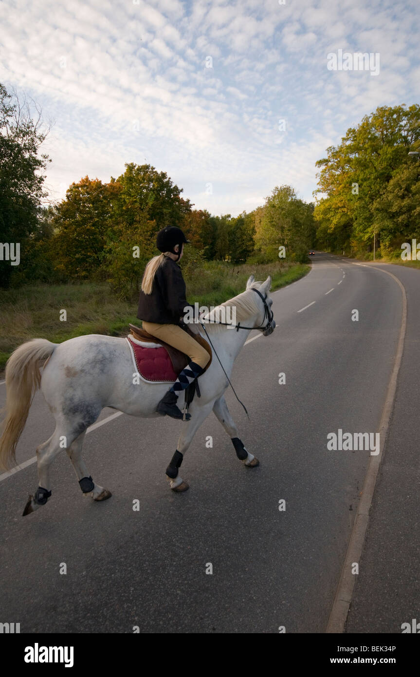 Girl riding a pony crossing an asphalt road Stock Photo - Alamy