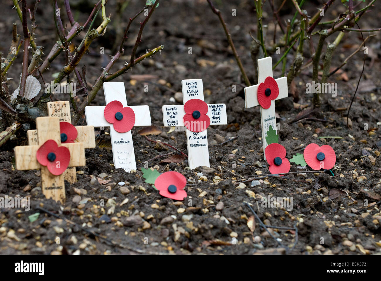 Wreaths, and crosses at Royal British Legion armistice day parade which