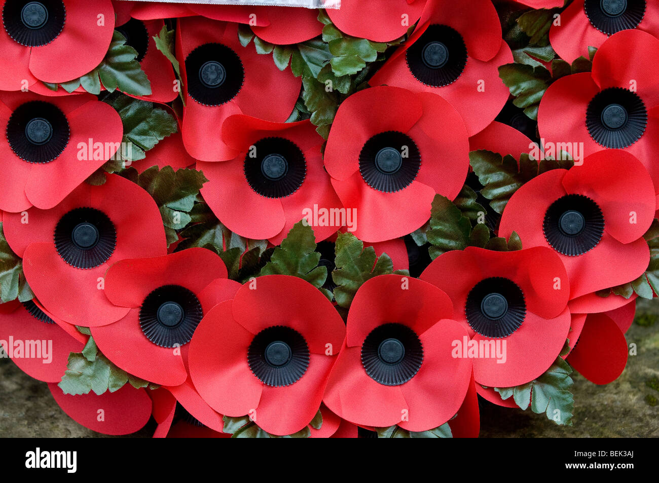 Wreaths, and crosses at Royal British Legion armistice day parade which is an annual event in the UK. Stock Photo