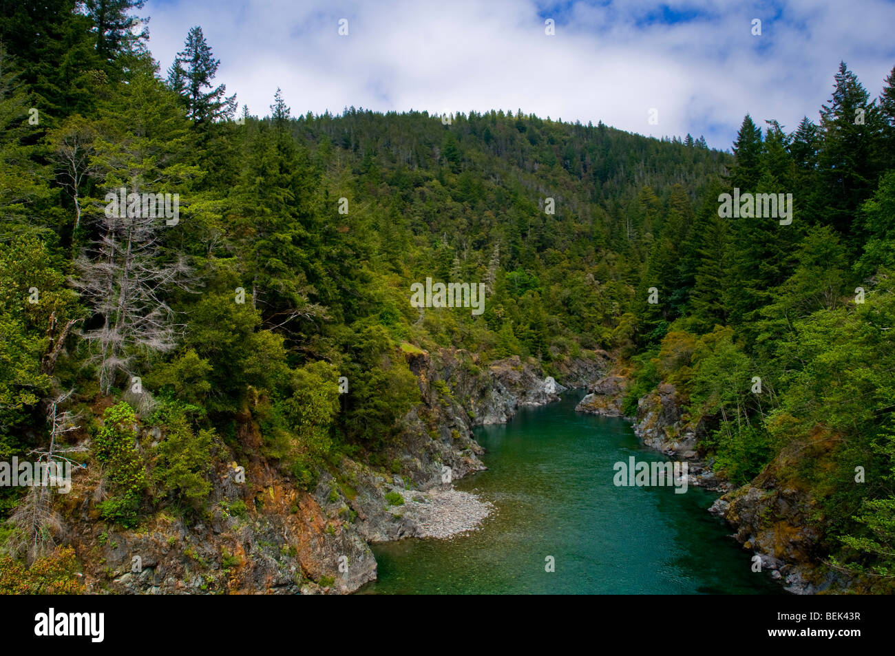 Smith River flowing through forest canyon, Del Norte County, California