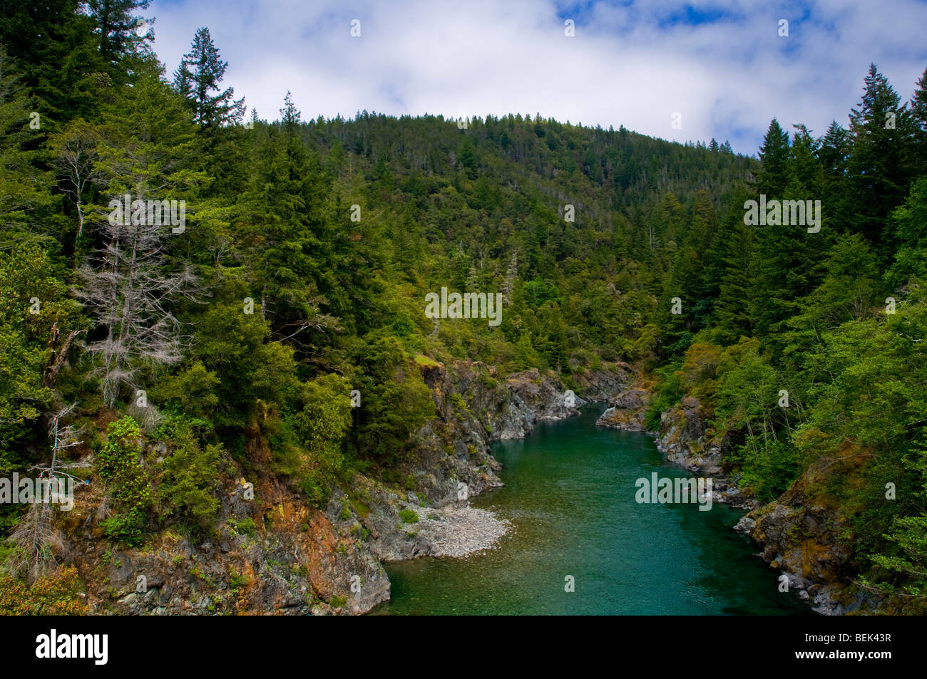 Smith River flowing through forest canyon, Del Norte County, California Stock Photo