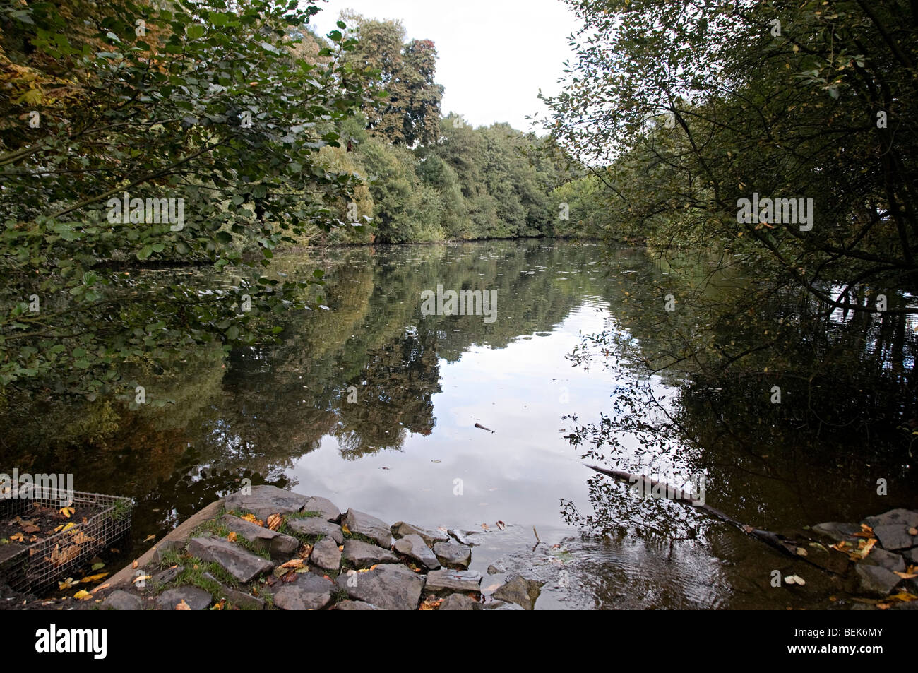 Himley Hall park lake near the hall Stock Photo