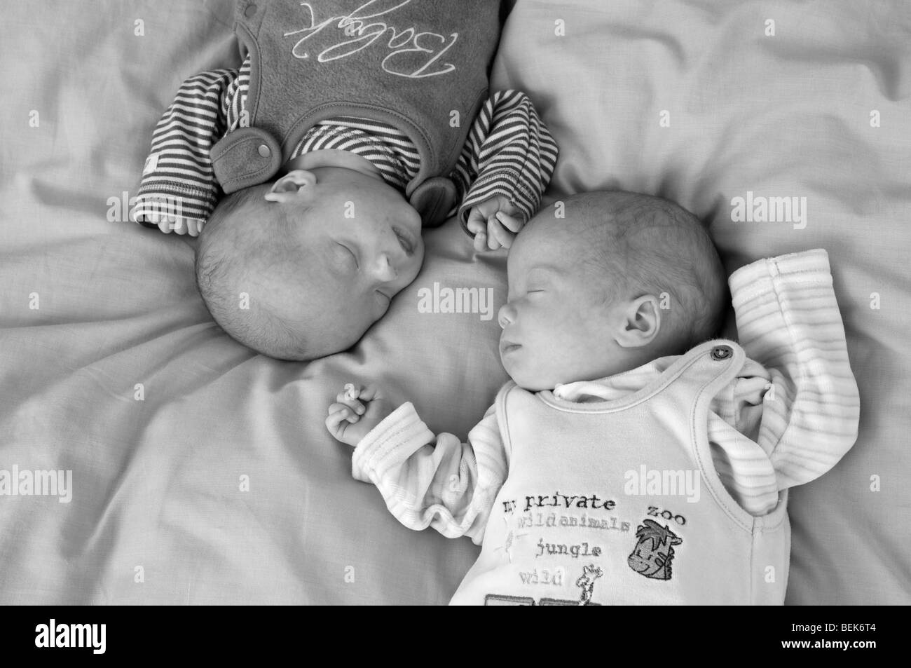 Premature babies, identical twin boys sleeping Stock Photo