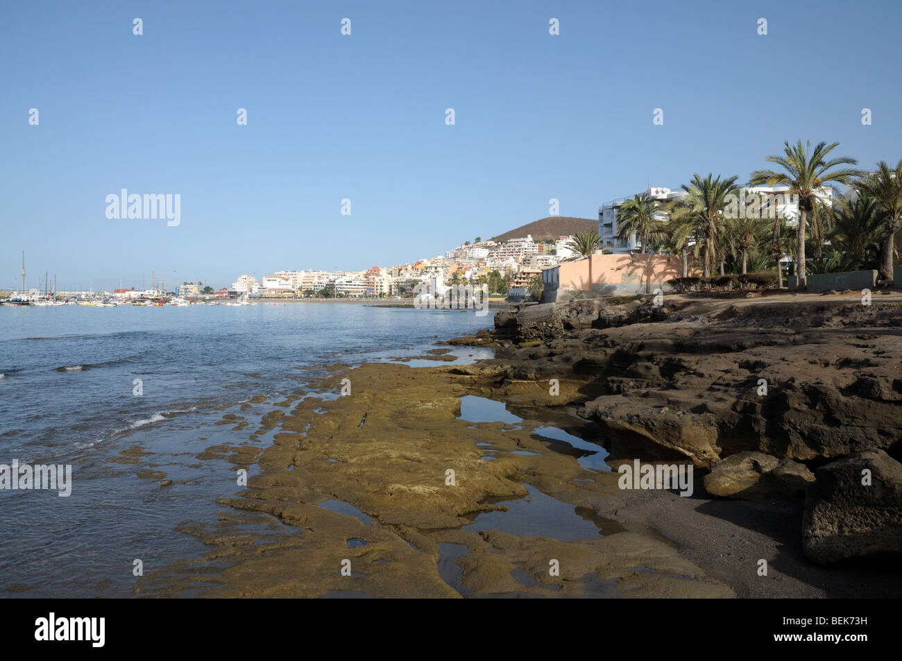 Coast in Los Cristianos, Canary Island Tenerife, Spain Stock Photo