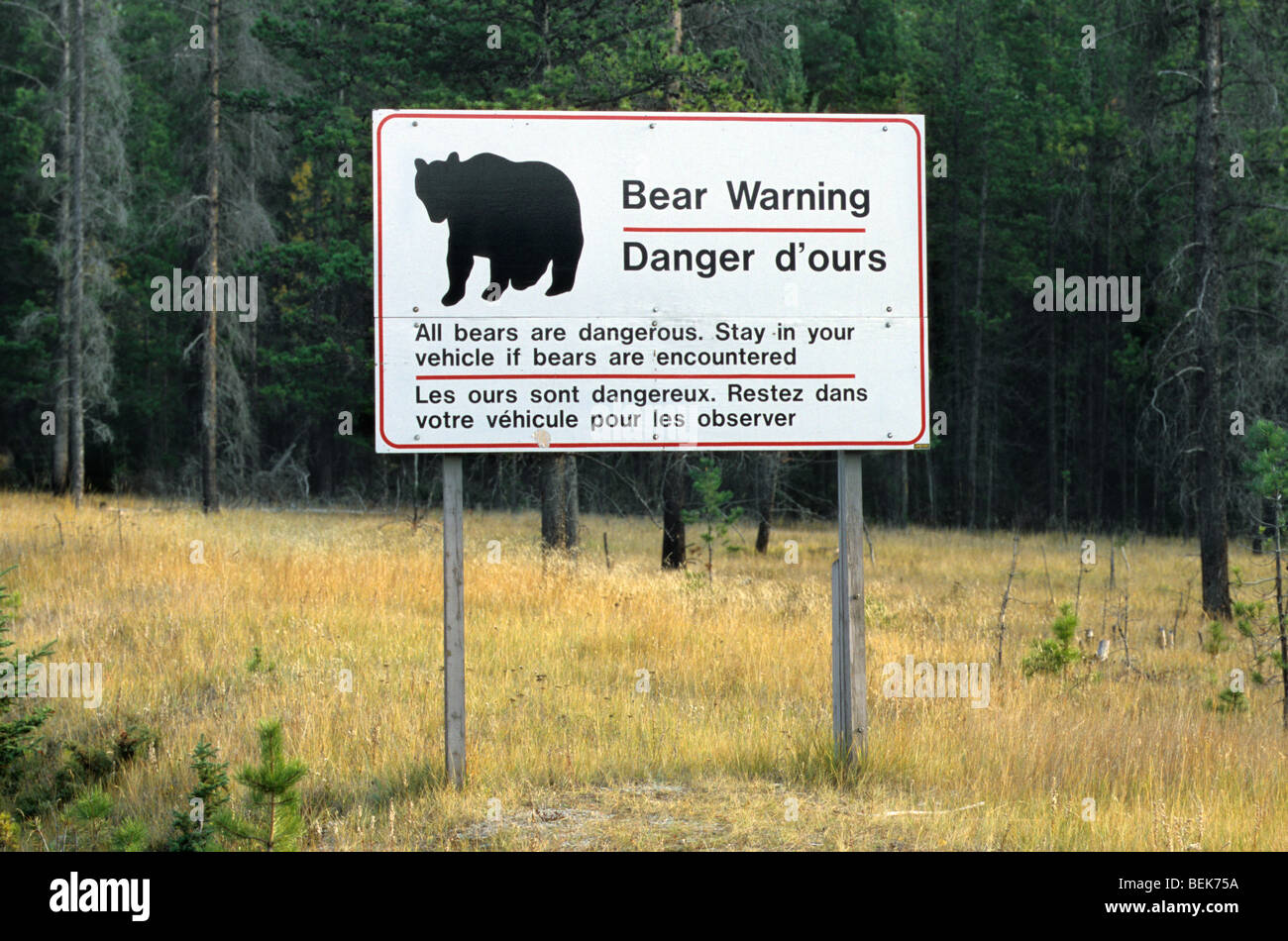 Bear warning sign, Jasper National Park, Alberta, Canada Stock Photo