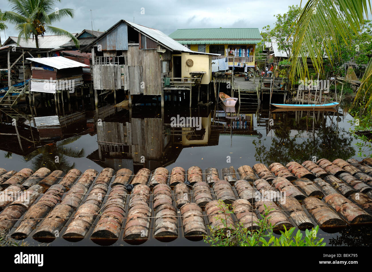 Sago Logs Floating in River at Tellian Kampung or Stilt Village Mukah Sarawak Malaysia Borneo Stock Photo