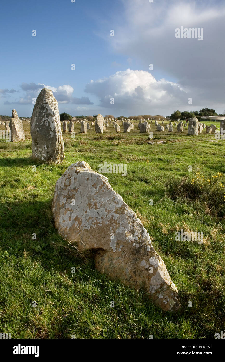 Neolithic menhirs / standing stones at Carnac, Brittany, France Stock Photo