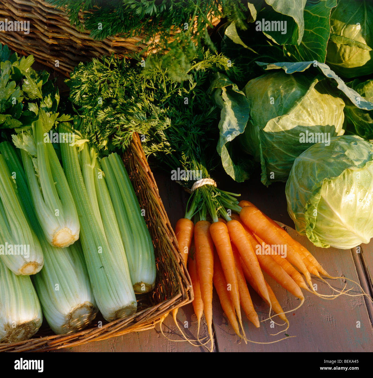 Still life of different vegetables Stock Photo