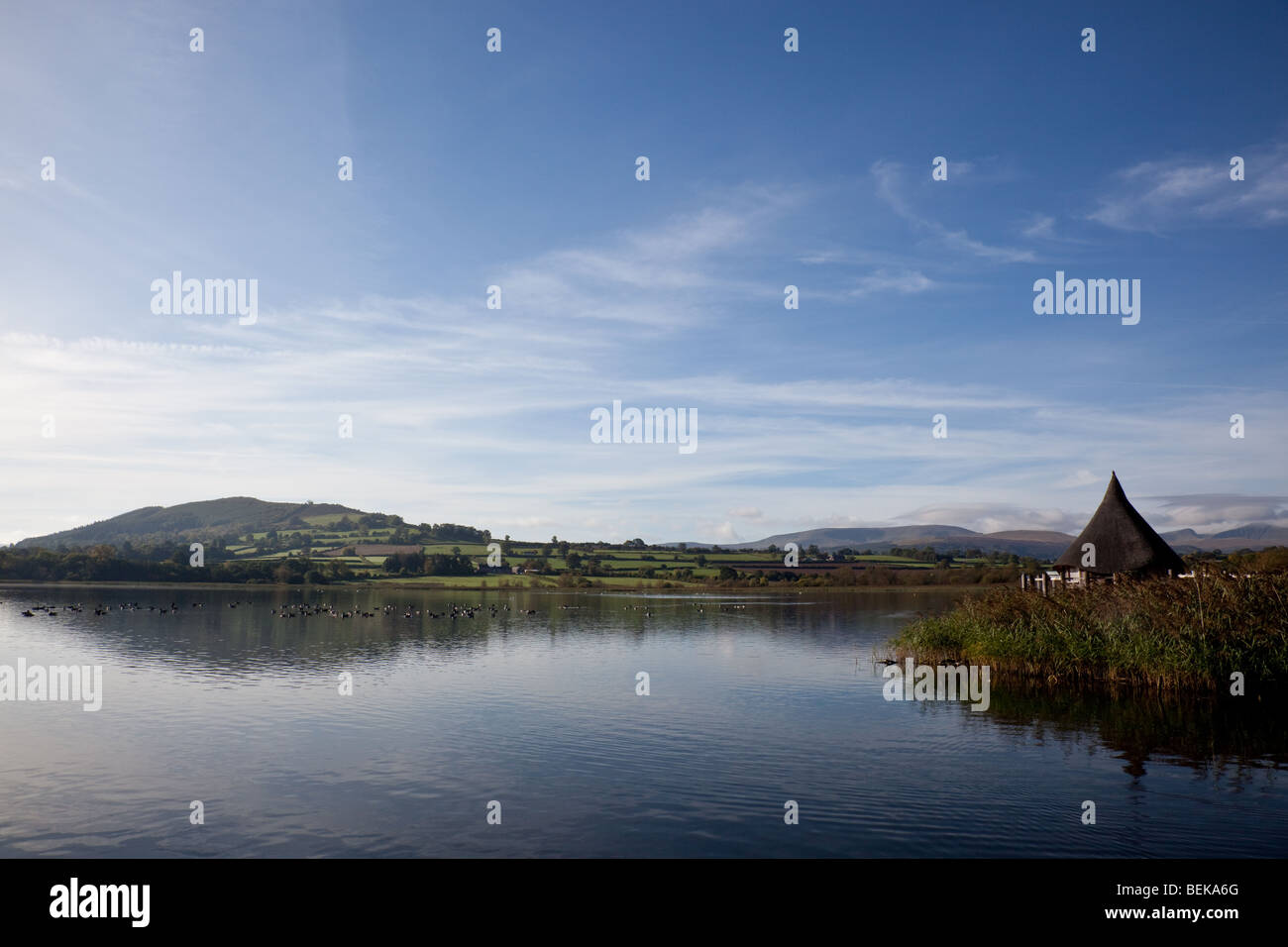 The Welsh Crannog on the outskirts of Llangorse Lake, Powys, Wales Stock Photo