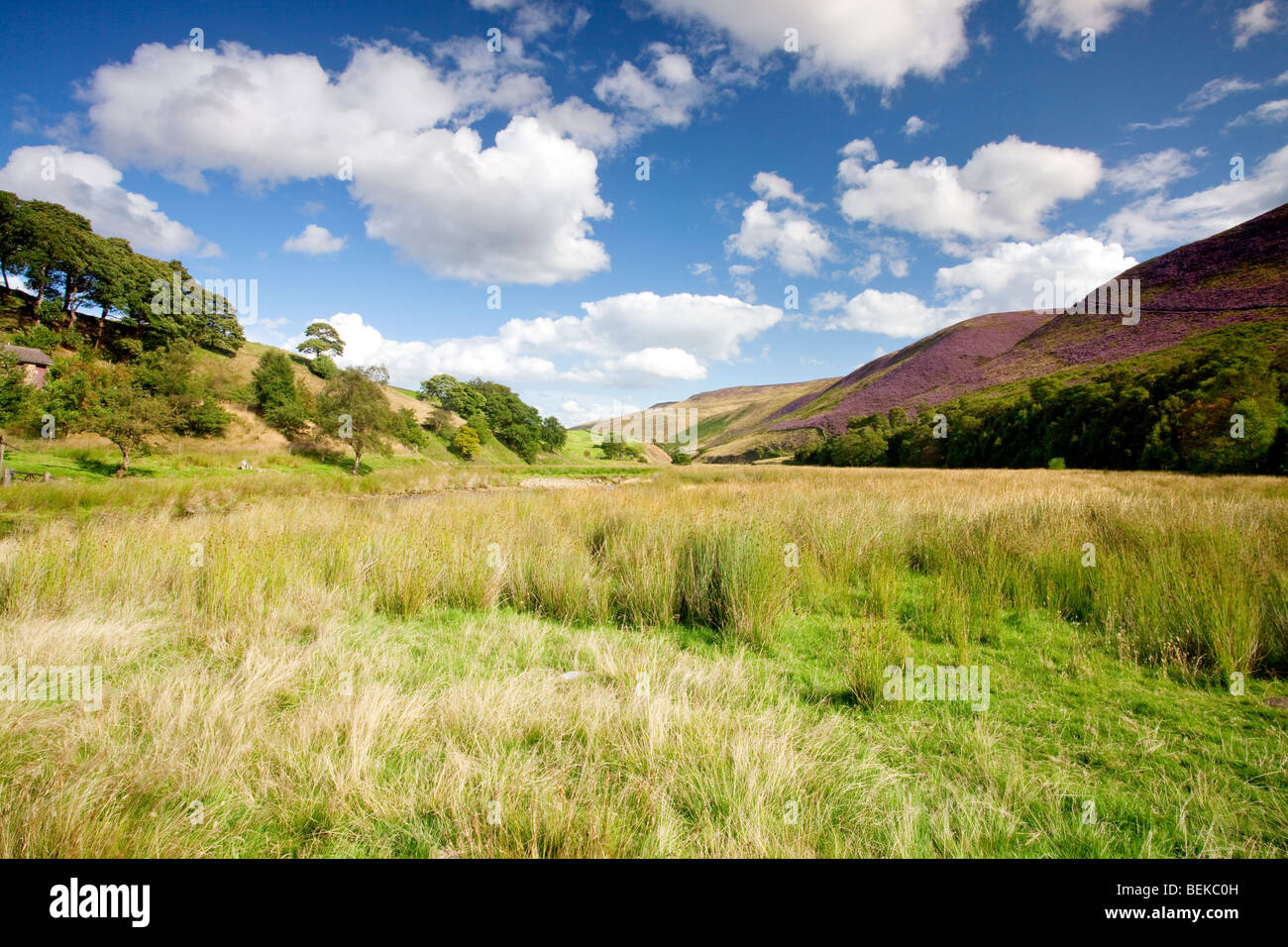 The Woodlands valley and the River Ashop just off the Snake Pass A57 road on a summers day in the Peak Distirct National Park. Stock Photo