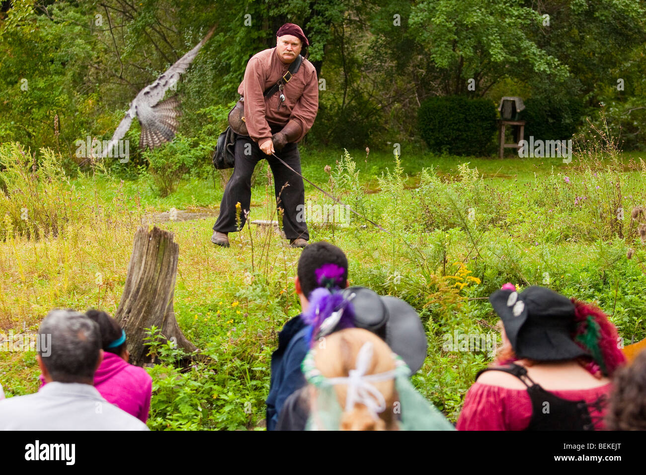 Falconer at Renaissance Fair in Tuxedo, New York Stock Photo Alamy
