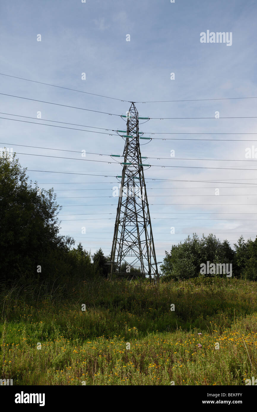 High voltage power pylon near Newport levels reserve Stock Photo