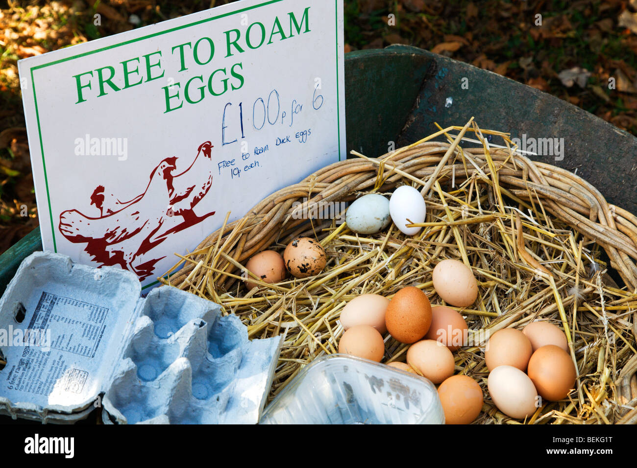 Free to Roam Eggs for sale at a farm Bures Suffolk England Stock Photo